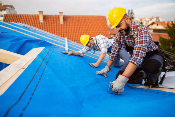 Best New Roof Installation  in Tennille, GA