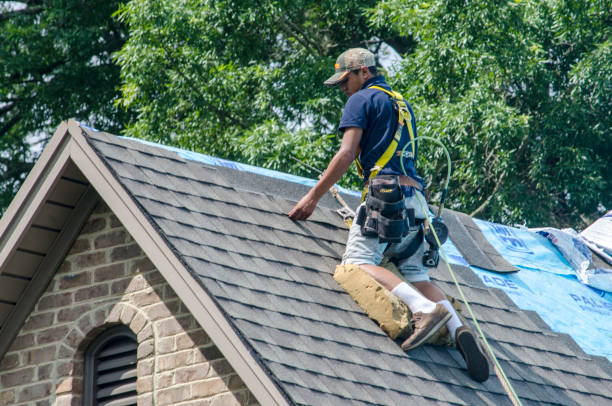 Gutter Installation and Roofing in Tennille, GA